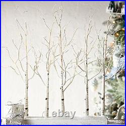 Raz 30 Inch Lighted Birch Grove with Twinkle Lights