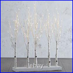 Raz 30 Inch Lighted Birch Grove with Twinkle Lights