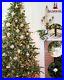 Sale_Off_30_Balsam_Hill_Classic_Blue_Spruce_6_5_Christmas_Tree_Clear_01_hv