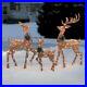 Set_Of_3_Light_Up_Deer_Family_Rattan_Look_Holiday_Christmas_Outdoor_Decoration_01_hd