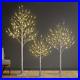 Set_of_3_Lighted_Birch_Tree_4FT_6FT_and_8FT_LED_Artificial_Tree_for_Decoration_i_01_kftr