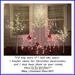 Set of 3 Lighted Birch Tree 4FT 6FT and 8FT LED Artificial Tree for Decoration i
