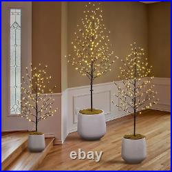 Set of 3 Star Light Trees, Including 3 Feet, 5 Feet, and 6 Feet, Warm White, Bro