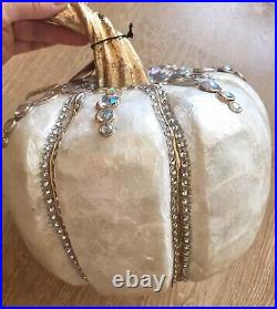 Shabby Chic Style Fall Thanksgiving Capiz Shell Beaded Jeweled Pumpkin 8x8