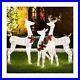 Shintenchi_3_Piece_LED_Lighted_Christmas_Deer_Outdoor_Yard_Decorations_3D_Su_01_zach
