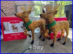 Target Wondershop Lit Sisal Deer, TWO pack, 32.5 inches talll, 50 lights