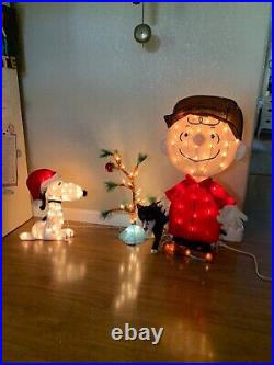 TisYourSeason Charlie Brown Snoopy & The Lonely Tree Lighted Outdoor Christma