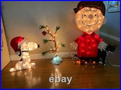 TisYourSeason Charlie Brown Snoopy & The Lonely Tree Lighted Outdoor Christma