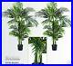Two_4_Areca_Artificial_Tropical_Palm_Trees_In_Pot_504_01_pl