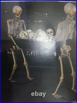 Two Five Foot Skeletons Carrying Coffin. Fill Your Prop With Ice. Candy