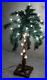 Vintage_Christmas_Palm_Tree_Pre_Lit_Artificial_Tropical_Hawaii_White_Lights_20_01_hru