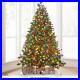 World_s_Best_Prelit_LED_Noble_Fir_12_Green_Multicolor_Light_Full_Christmas_Tree_01_osyi